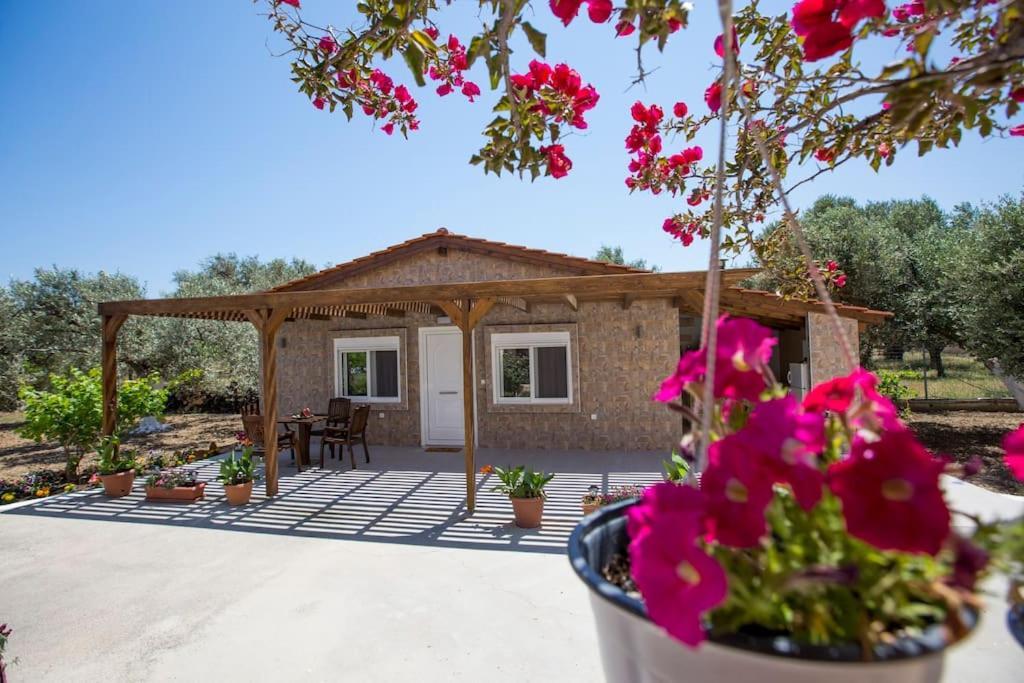 אפאנטו Serenity Studio Beach Home מראה חיצוני תמונה