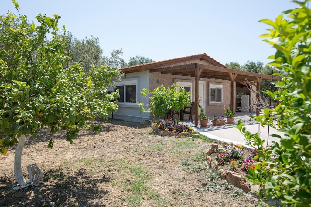אפאנטו Serenity Studio Beach Home מראה חיצוני תמונה