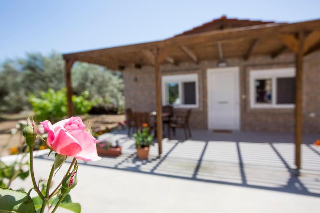 אפאנטו Serenity Studio Beach Home מראה חיצוני תמונה