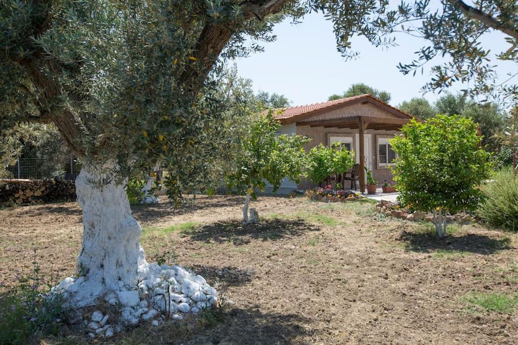 אפאנטו Serenity Studio Beach Home מראה חיצוני תמונה