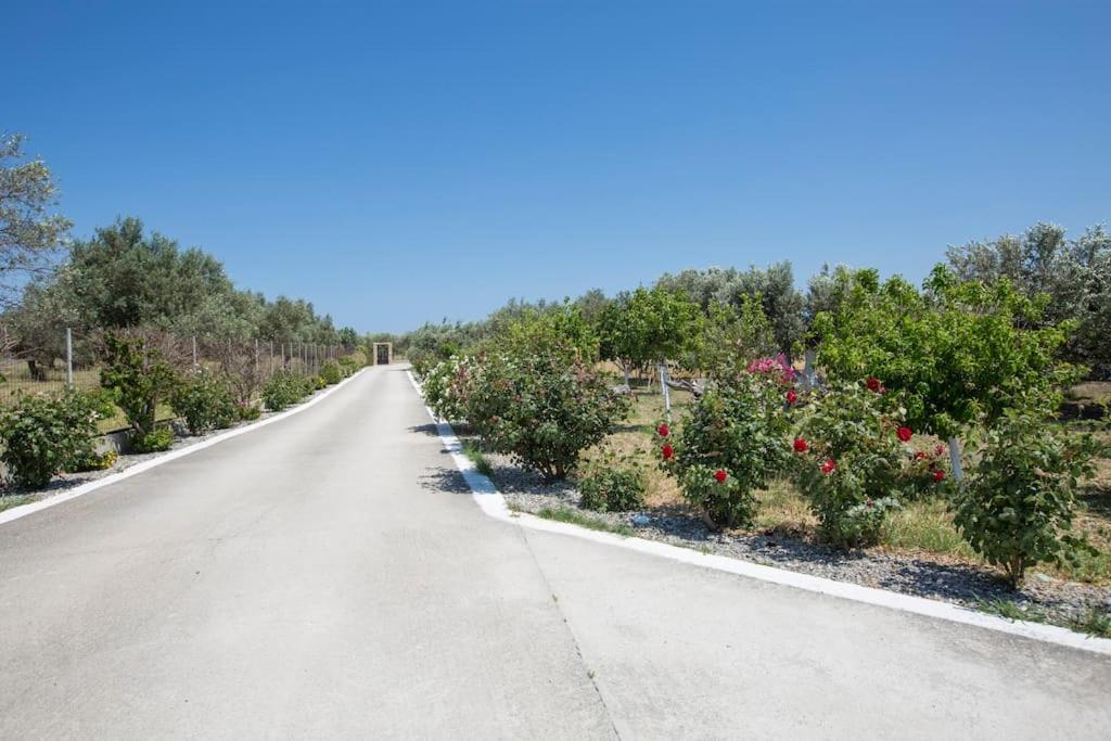 אפאנטו Serenity Studio Beach Home מראה חיצוני תמונה